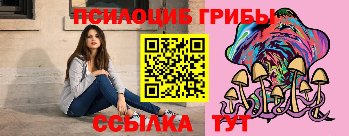 Аргун  Галлюциногенные грибы GOLDEN TEACHER  Вход с VPN  Псилоцибиновые грибы Cubensis 